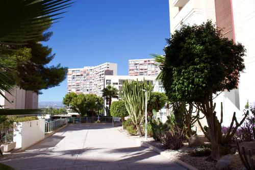 Levante Nest Monaco - Benidorm Skyline