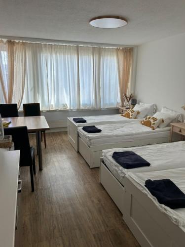 Zurich Hotel Studio