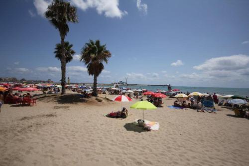 Palm Apartments Sunny Studio Fast Wi-Fi ideal for Long Stay