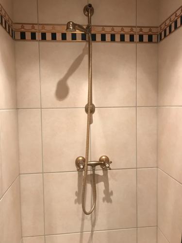 a shower with a shower head in a bathroom at Rundvejen Guest House in Aalborg