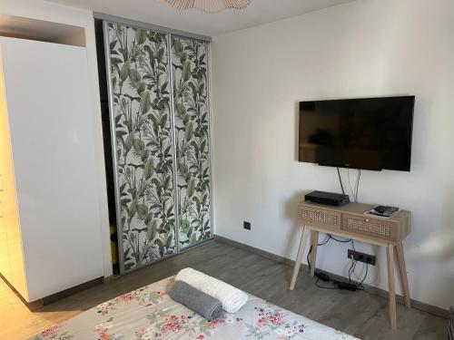 Superbe appartement plein centre de Lyon