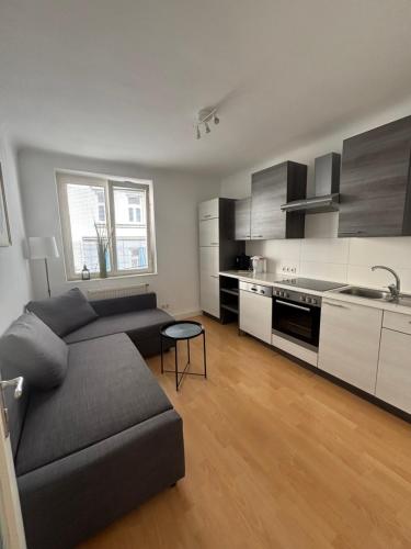 Central Alpha Apartment 7min to the city centar