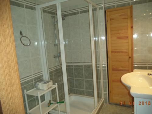 a bathroom with a shower and a sink at Villa Magdalena in Sveti Juraj