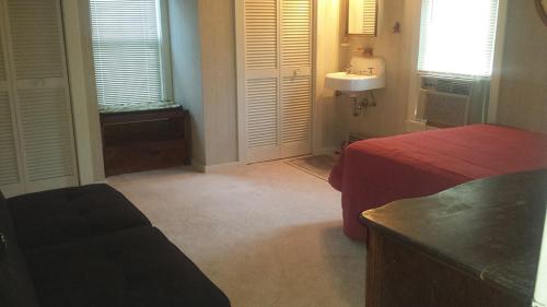 ein Schlafzimmer mit einem Bett und einem Waschbecken in einem Zimmer in der Unterkunft Aunt Jane's Yellow House in Put-in-Bay