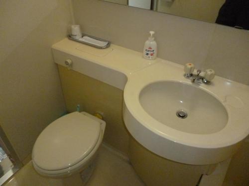 a bathroom with a white toilet and a sink at Sudomari Hotel Roman Tsutsuji in Nikko