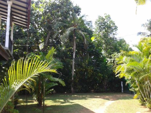 Un jardín fuera de Villa 159