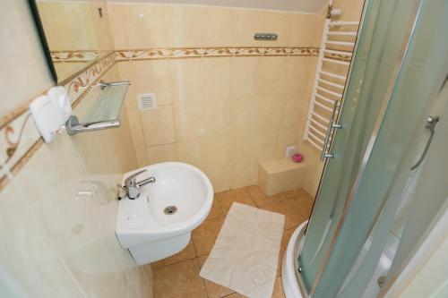 een badkamer met een toilet, een wastafel en een douche bij Pałac w Kobylnikach in Kruszwica