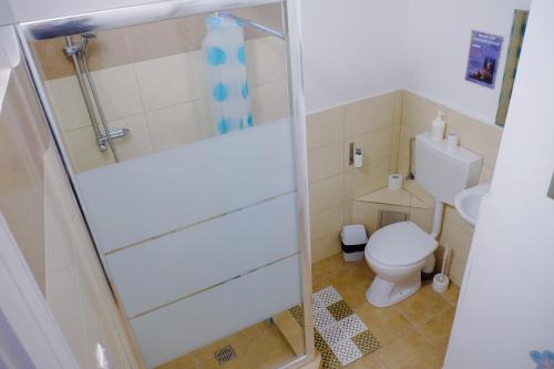 a small bathroom with a toilet and a shower at Centrum House Hostel in Braşov