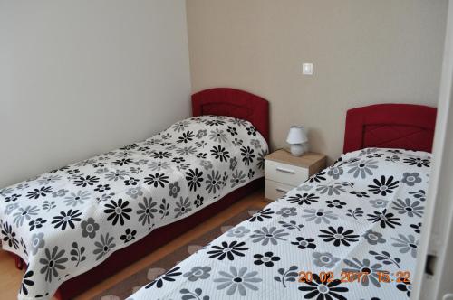 Apartment Dragica 2