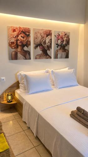 Central studio D1 Volos