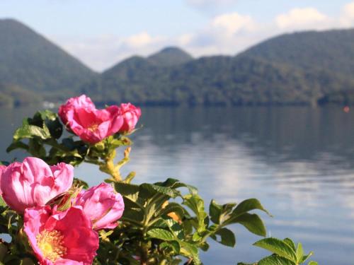 a bush with pink flowers in front of a lake at Toya Kohan Tei in Lake Toya