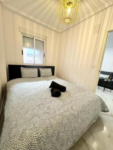 Appartement de Torrevieja