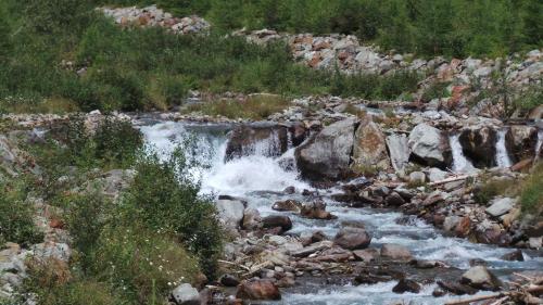 a stream of water with rocks in a field at Hotel Bella di Bosco in Malè