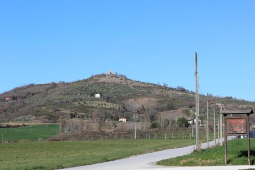 a road leading up to a hill with a mountain at Fattoria di Rigone in Coltavolino