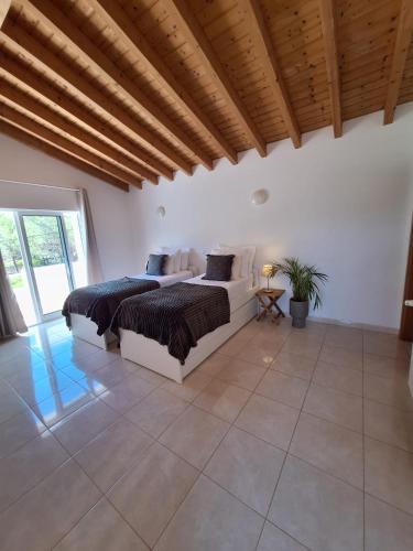 Villa Flavia