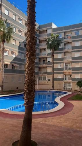 En plein coeur de Torrevieja