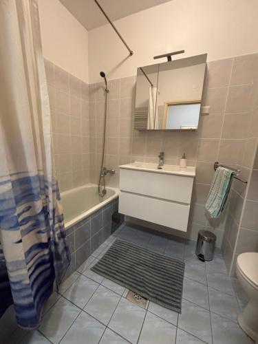Apartman Mimoz