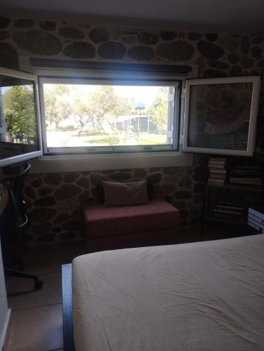 Olive Village