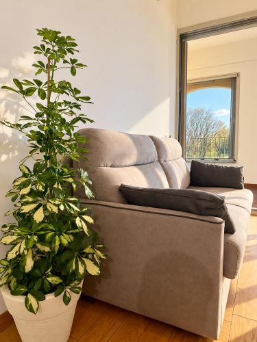 LURO Apartments - Suzzani 98