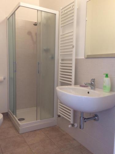 uma casa de banho com um lavatório e um chuveiro em B&B Al Tardino em Sogliano al Rubicone