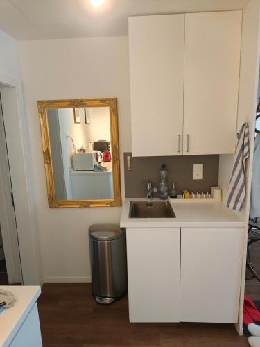 Loft in downtown Zurich
