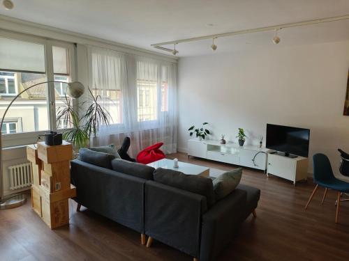 Loft in downtown Zurich