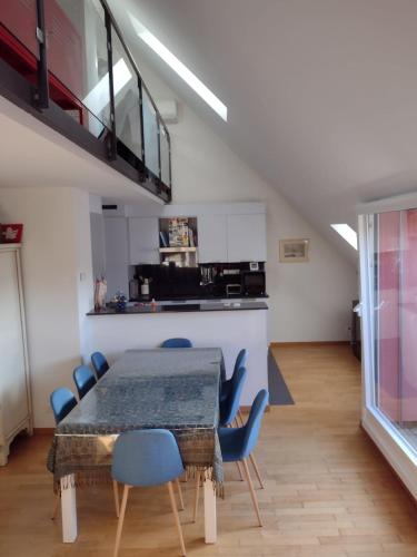 Executive Rooftop Flat in Zurich