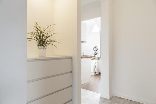 a pivot door in a hallway with a plant at Dünenhaus Steinmarne in Cuxhaven
