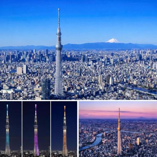 THE東京本格的な日本伝統住宅の新体験!! 貸切露天浴場 成田空港 羽田空港直通特急駅 68インチ映画TV室 近スカイツリー 浅草上野銀座ディズニー 高速WiFi 長期割引 東京和屋AOTOa