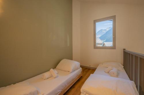 Chamonix Sud