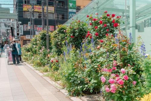 Rosy Days 202