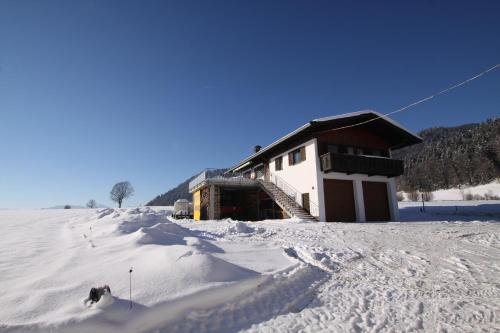 a building in the snow with a dog in front at Pfandlhof in Walchsee