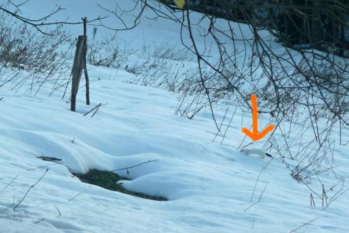 an orange object is sticking out of the snow at Horská Chata Hříbek in Benecko