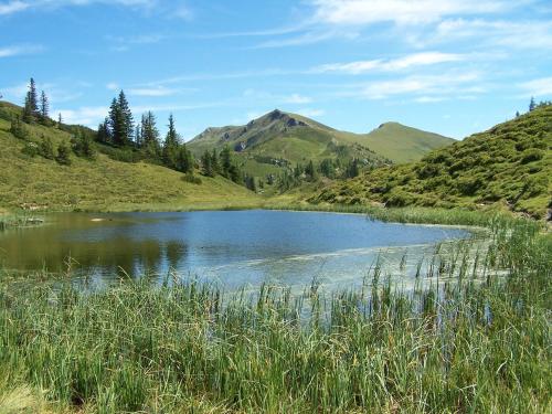 a lake in the middle of a field with mountains at Aktivhotel Alpendorf in Sankt Johann im Pongau