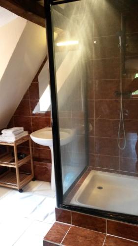 a attic bathroom with a shower and a tub at Gîte "Le cosy" in Turckheim