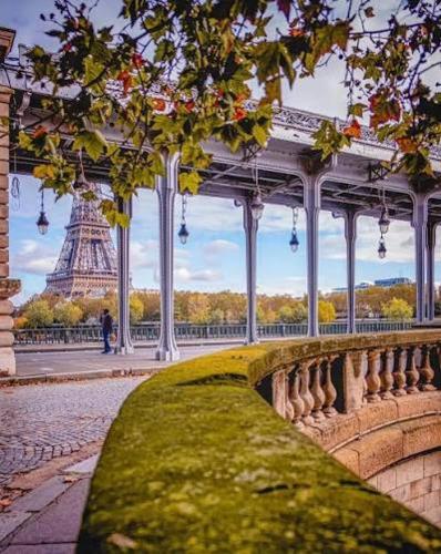 TRES BEL APPARTEMENT RENOVE QUARTIER TOUR EIFFEL - PONT De BIR-HAKEIM