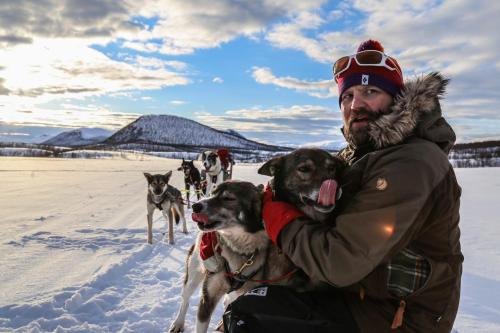 a man with a group of dogs in the snow at Lodge 67°N Lapland in Äkäslompolo