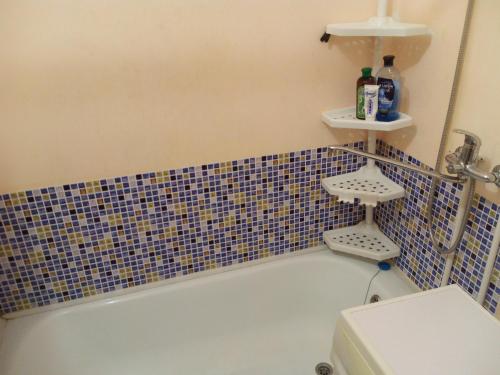 SalavatにあるЭконом апартаментыのバスルーム(バスタブ、トイレ付)