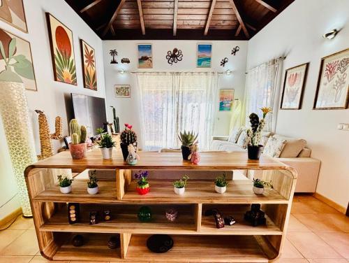 Villa Sol y Cactus