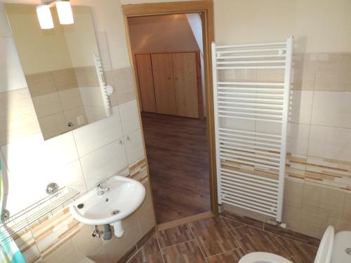 リプノ・ナト・ヴルタヴォウにあるChata Sandraのバスルーム(洗面台、トイレ、鏡付)