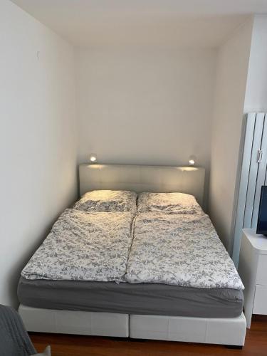 Charming City Apartment Salm 15