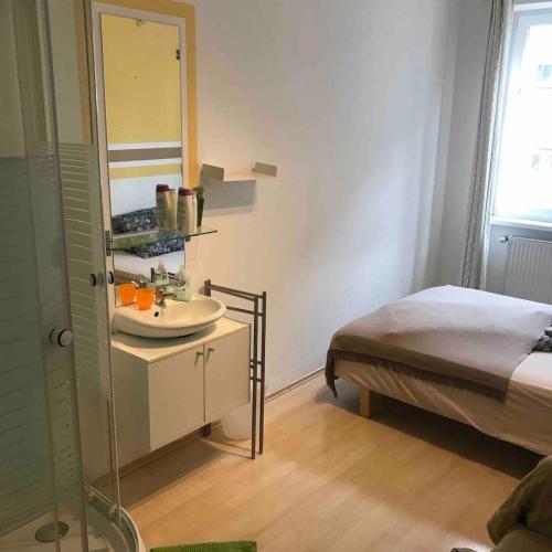 Naschmarkt Room with a shower and a sink