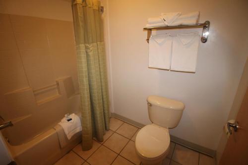 a bathroom with a toilet and a tub and a shower at Best Western Liberty Inn in Delano