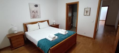 Belém Nest - Calm within the city