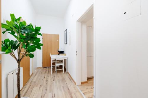 Central Apartment Belvedere