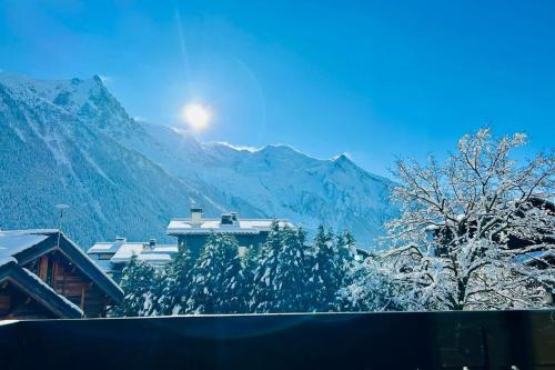 Bright with balcony views of Mont Blanc Parking