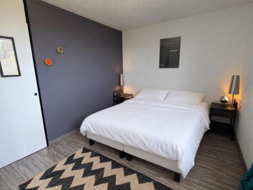 Appartement rénové 2 pièces pour 6 personnes à 50m des pistes, calme, balcon vue Mont Blanc
