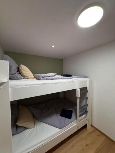 Haus Birkenhain - Alpique Apartment