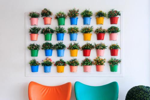 a group of potted plants in colorful pots on a wall at Samui Verticolor in Chaweng