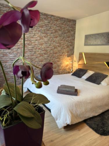 Appartement au centre historique de Strasbourg